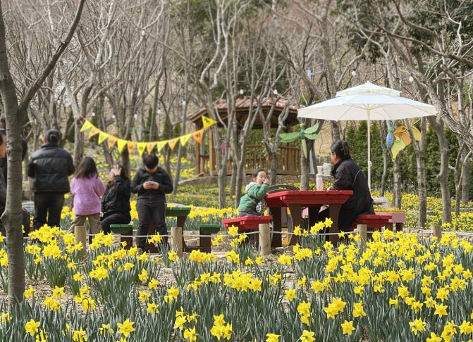 진주시, 월아산 숲속의 진주 ‘봄봄봄 축제’ 개최