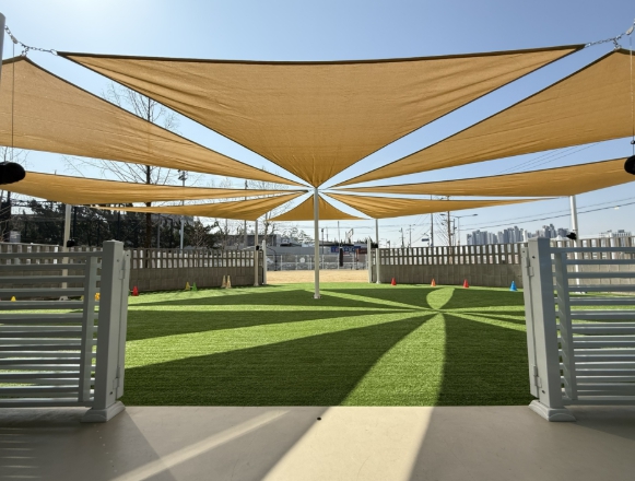 대전 중구, 반려견 에너지파크 새단장... ‘혹서기 야간 개장’도입