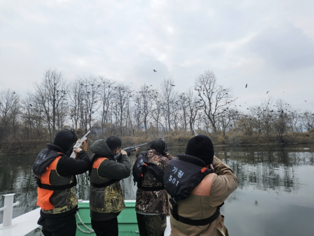 가평군, 북한강 민물가마우지 집중 포획 나선다