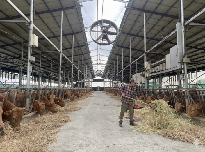 안성시, 2026년 상반기 사료구매 정책자금 지원사업 신청 접수