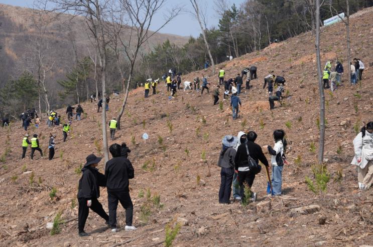 전남도, 여수 묘도 산단 주변서 건강한 숲 복원 나무심기