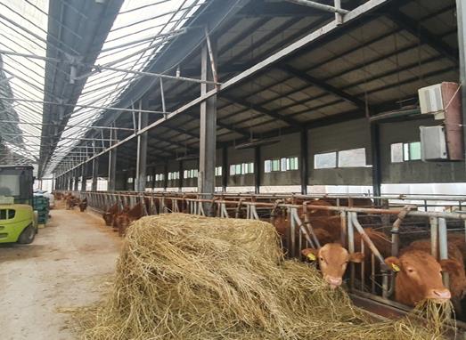 김해시 “축산농가 경영난 던다” 2026년 사료구매자금 98억원 융자 지원