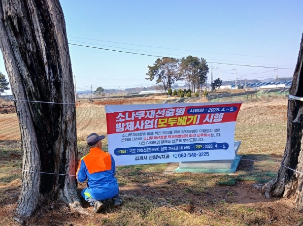 김제시, 소나무재선충병 확산‘비상’, 수종전환(모두베기) 방제 본격 추진