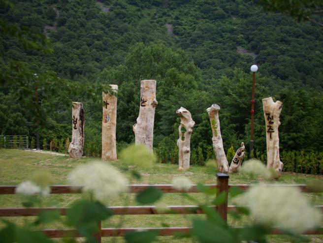 ‘월아산 숲속의 진주’, 산림복지 선도모델 각광
