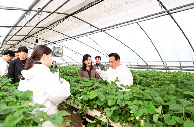 논산딸기축제 전 안전성 검사 모두 ‘적합’ 체계적 관리와 현장 중심 교육 효과 입증
