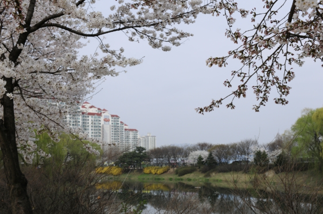 구리시, '벚꽃 아래 사회적경제 팝업스토어' 개최