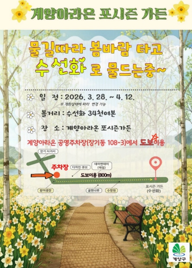 계양아라온, 수선화 개화 시작... 봄꽃 물결 본격화