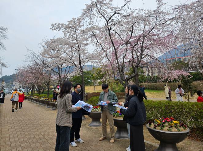 창원시 진해군항제 앞두고 불법영업행위 단속 TF팀 현장 사전점검 실시