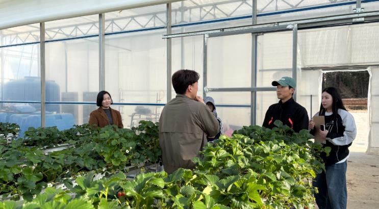 곡성군, 청년농 임대형 스마트팜 전문가 초청 특강 실시
