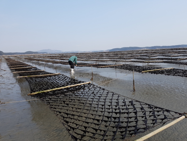 충남도, 탄소 잡는 ‘검은 반도체’ 저감량 밝힌다