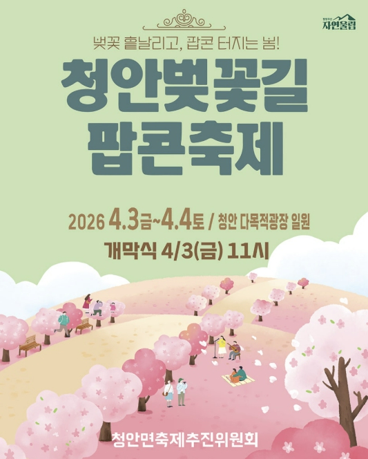 괴산군, 봄꽃 따라 걷고 팝콘과 함께 즐기는 '2026청안벚꽃길 팝콘축제' 개최