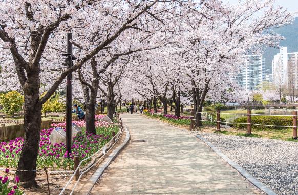 “김해의 봄 길을 걷다” 가볍게 걸으며 이 계절 만끽