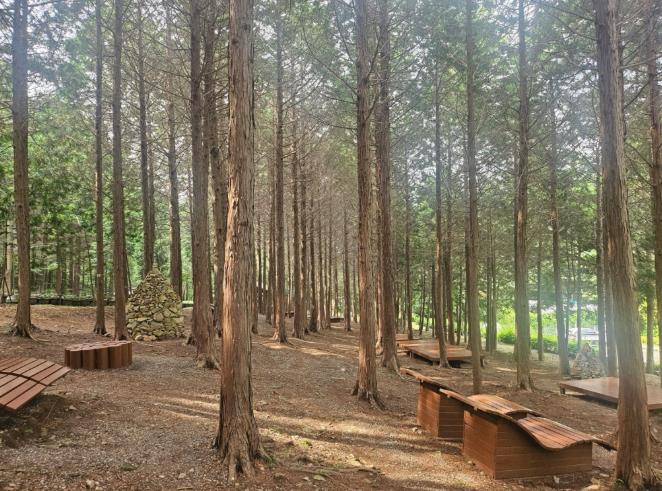 ‘지붕 없는 미술관’ 고흥으로 떠나는 봄맞이 3색 트레킹