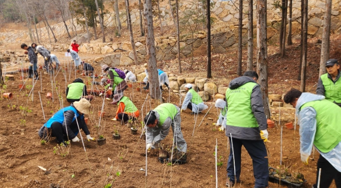 남해군, 식목일 맞아 자연휴양림 나무심기 행사 개최