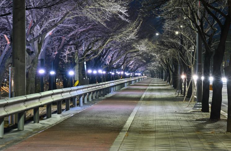 영주시 도심 속 힐링길, 밤에도 안전한 원당천 산책로  

