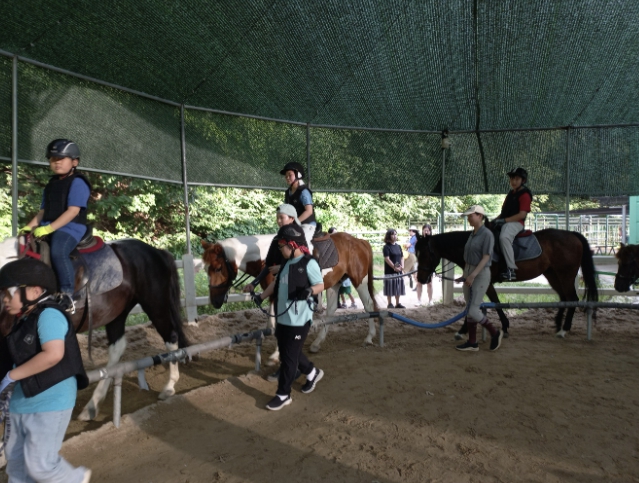 과천시, 학생승마 지원사업 참여자 모집…전년보다 대상 인원 확대