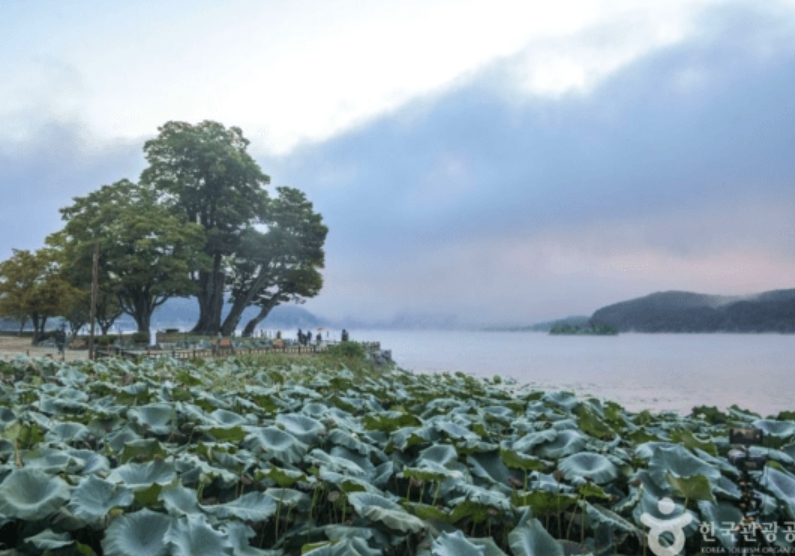 양평군, '2026 제14회 경기정원문화박람회' 정원산업전 참여 수요 조사 실시
