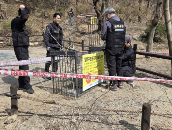 고양시, 북한산 내 유기동물 '동물친화적 집중구조' 실시