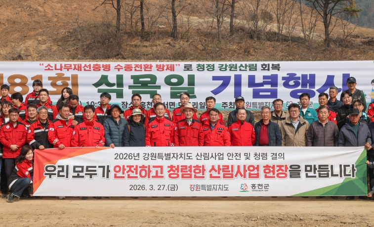 강원특별자치도, 재선충병 현장서 자작나무 3천본 식목…“대형산불 막는 첫 걸음”