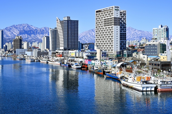 속초시, 어선 현대화·안전조업 지원에 10억 원 투입