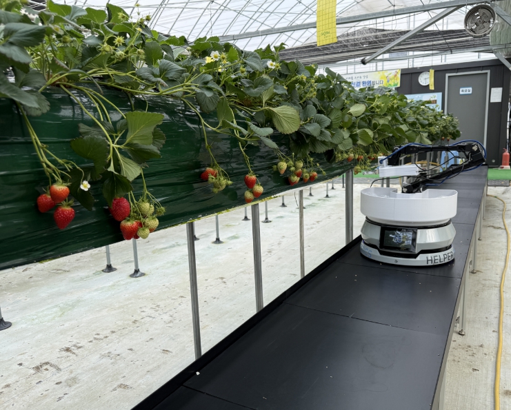 강남구, 로봇 테스트베드 참여기업 모집...로봇 친화도시 조성 박차