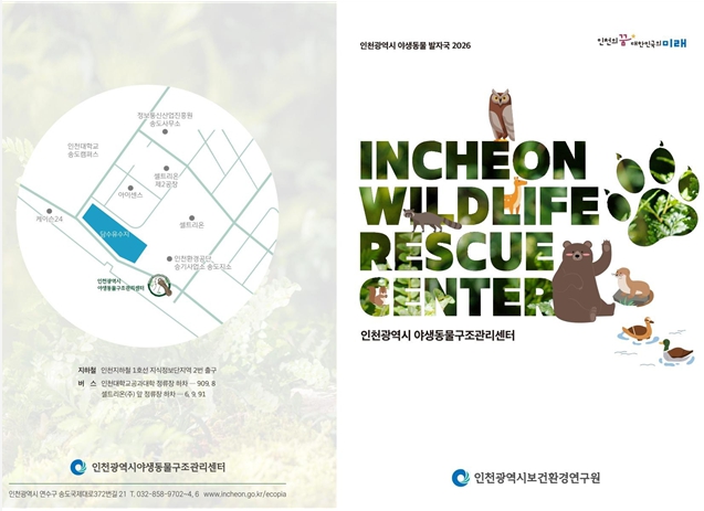 인천시, 구조 야생동물 46.6% 자연으로…지난해 성과 공개