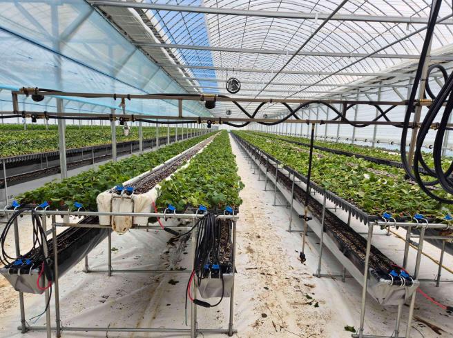 전남도, 친환경농업육성기금 70억 저리 융자