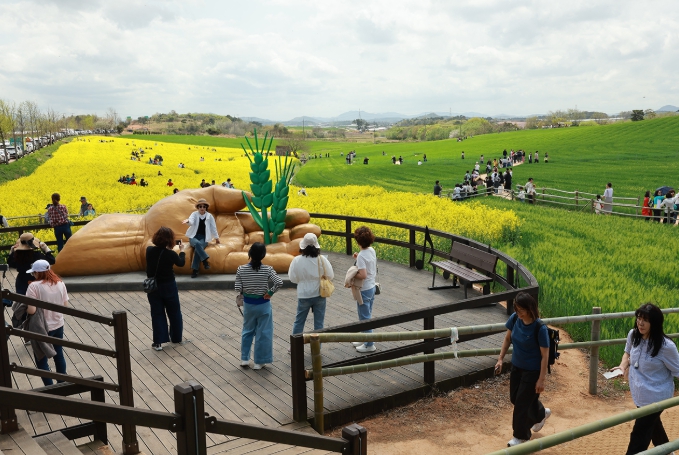 ‘봄의 기억, 길 위에 남다’ 고창군, 4월18일 제23회 고창 청보리밭 축제 개막