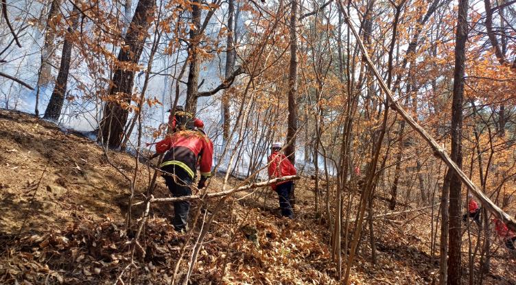 의성군, 산불재난 국가위기경보 ‘경계’ 상향... 전방위 대응체계 가동