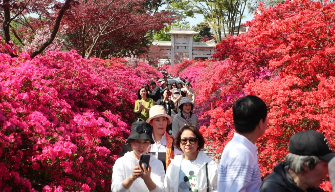 “강진엔 뭔가 있다” 대통령이 다섯 번이나 언급한 이유