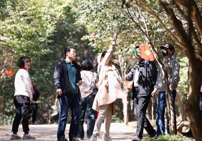 봄의 향연 제3회 강진 백련사 동백축제 성황리 마무리