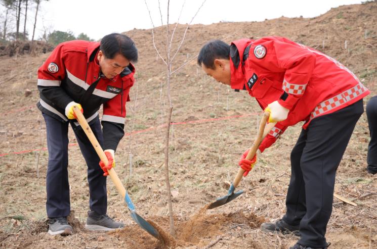 보은군, 제81회 식목일 기념 나무심기 행사 추진