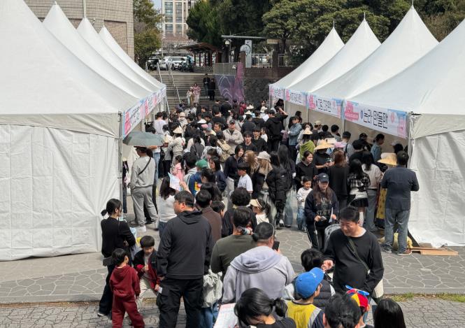 제주도교육청 제주학생문화원, 2026 청소년 벚꽃축제 성황리 개최