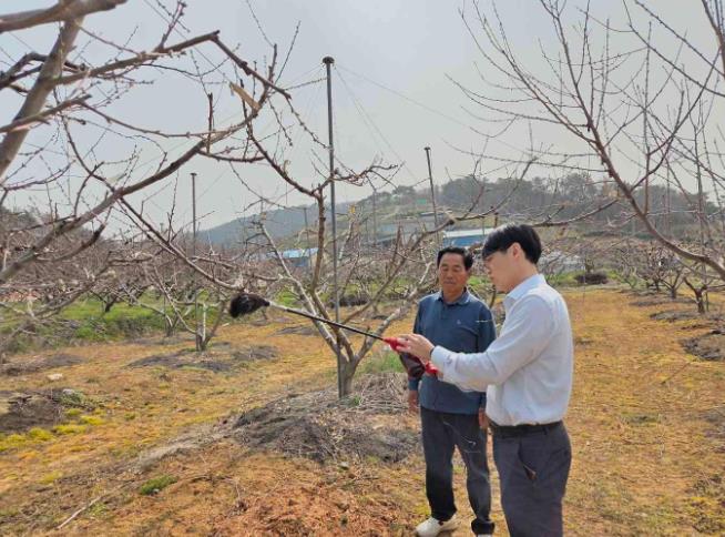 화순군, 과수 저온피해 예방 기술지원단 강화
