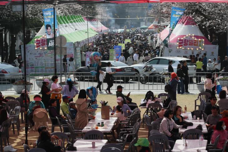 창원시 주말 진해군항제, 벚꽃 만개 아래 역대급 인파 기록
