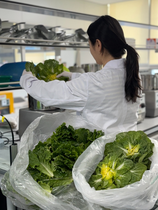 전남지역 유통 봄철 다소비 농산물 모두 ‘안전’