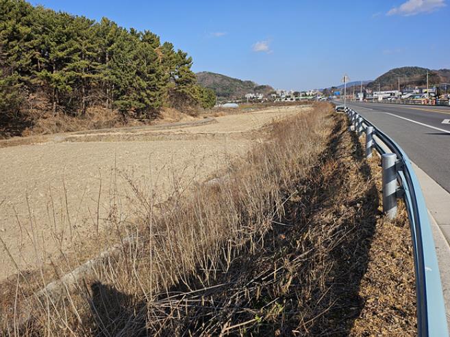 순천시, 가로수길 조성에 기존 수목 활용…예산 절감 추진
