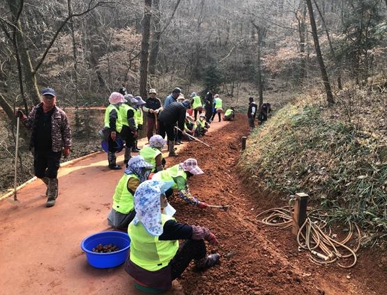 영광 물무산 행복숲, 전국 최고 맨발황톳길 4월 1일 개장