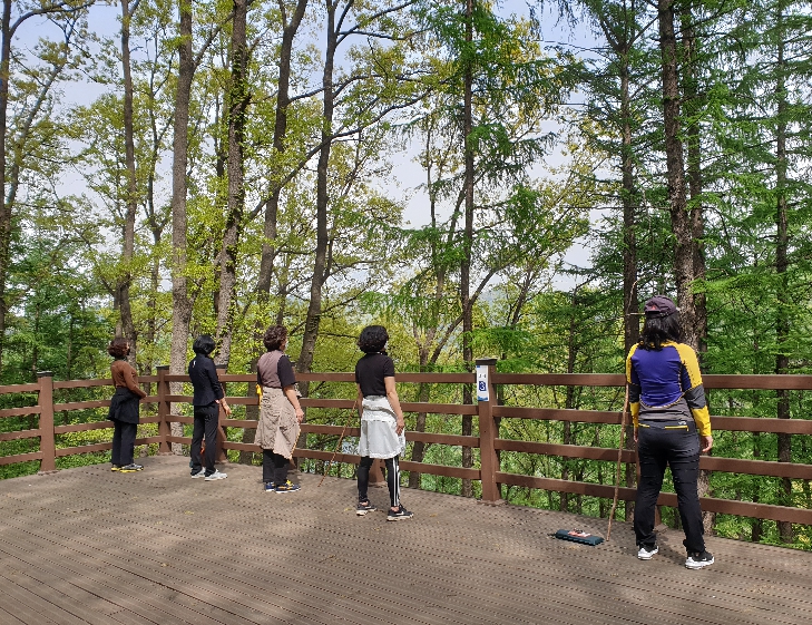 충주 계명산 치유의 숲, '산림치유·두드림캠프'로 본격 운영