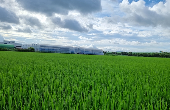 김해시농업기술센터, 벼 발아율 저하 대비 현장지도 강화