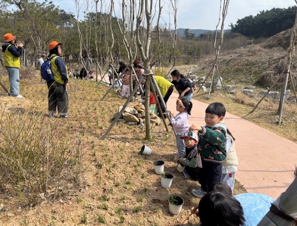 고창군, 어린이집 아이들과 고창그린마루 맥문동 식재
