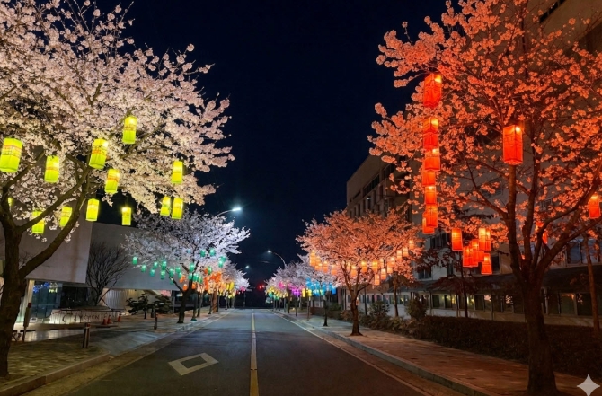 진주시, 봄철 야경명소 ‘진주실크로드’ 조성