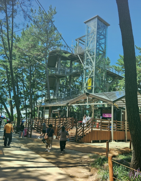 서천군, 장항스카이워크 운영시간 연장