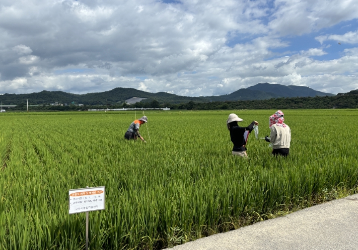 구미시, 명예식물감시원 18명 운영…병해충 대응체계 강화