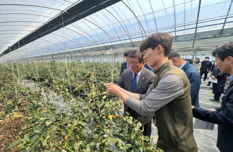 곡성군, 신소득 원예 특화단지 공모 선정