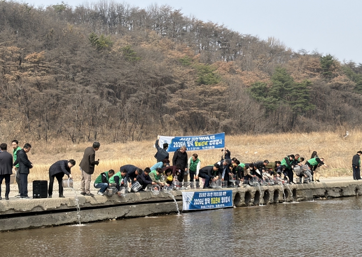 영덕군, 오십천에 ‘황금 은어’ 40만 마리 방류