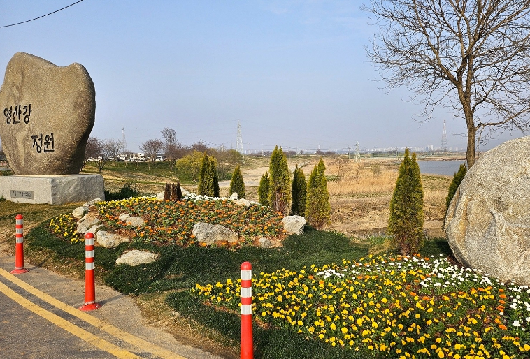 나주시, 영산강정원 봄꽃 단장…도심 속 힐링 명소 새 단장