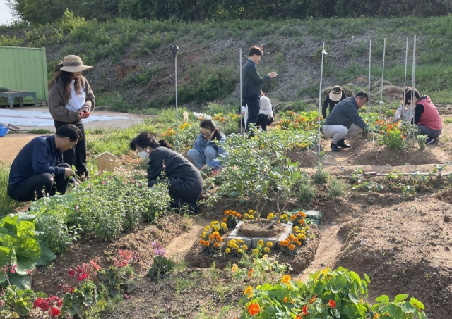 광주광역시, 도시농업 전문인력 키운다