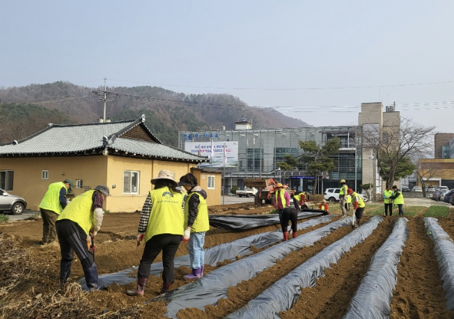 양평군 청운면 지역사회보장협의체, '사랑의 텃밭 가꾸기' 사업 본격 추진