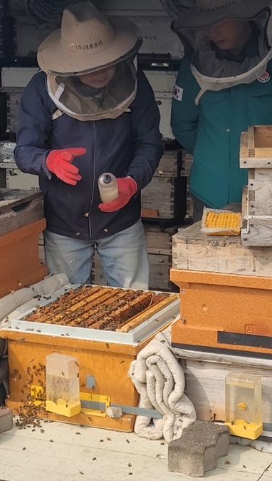 서산시 축산과, 봄철 꿀벌응애 집중 방제 추진